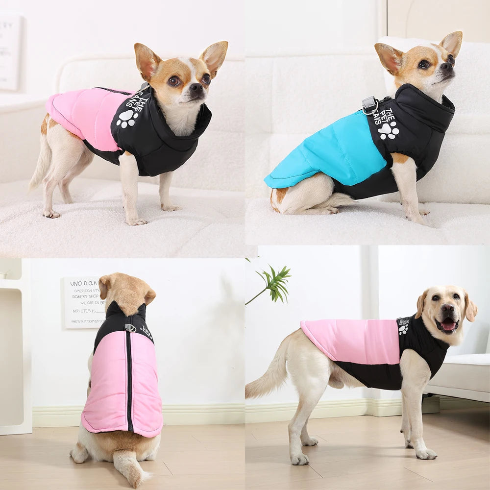 veste coupe-vent pour chien