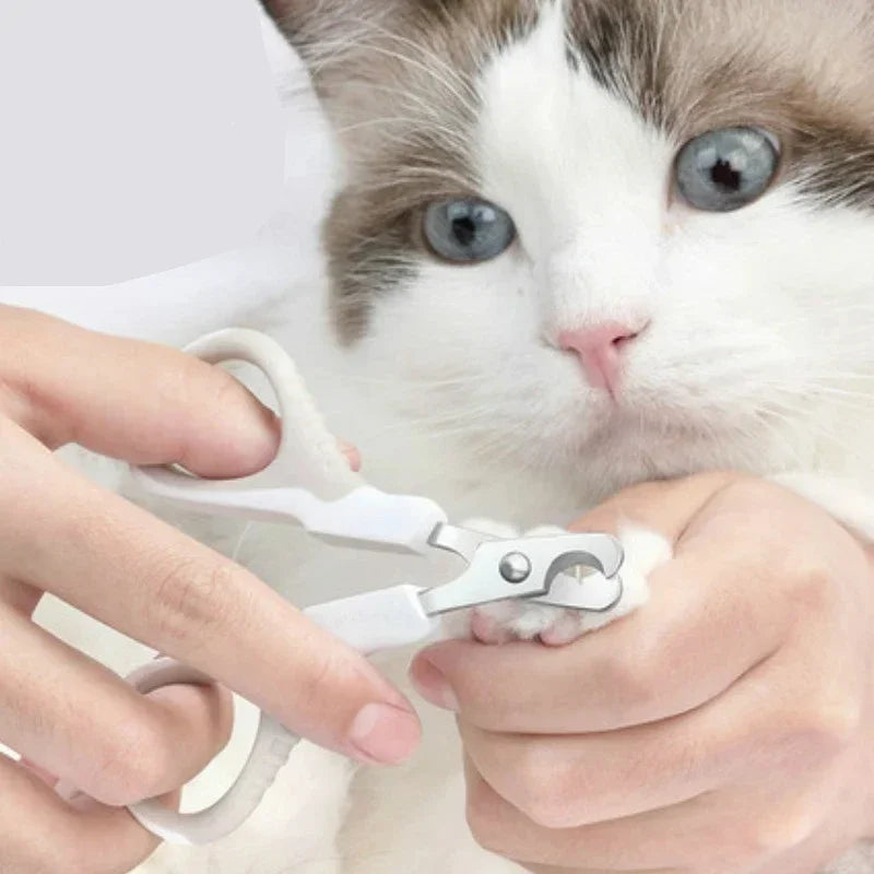 coupe-ongles pour chats