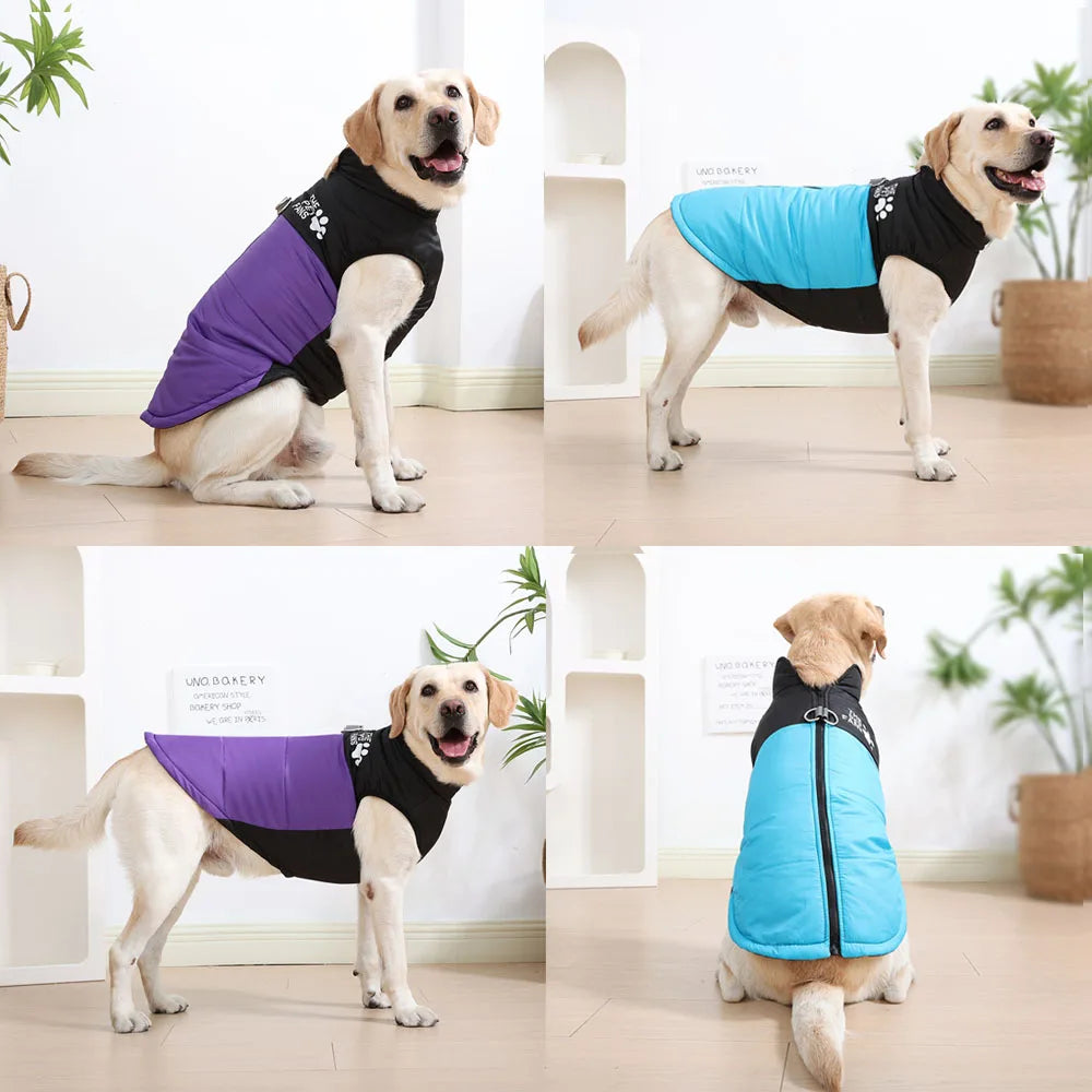 Veste d'hiver pour gros chien