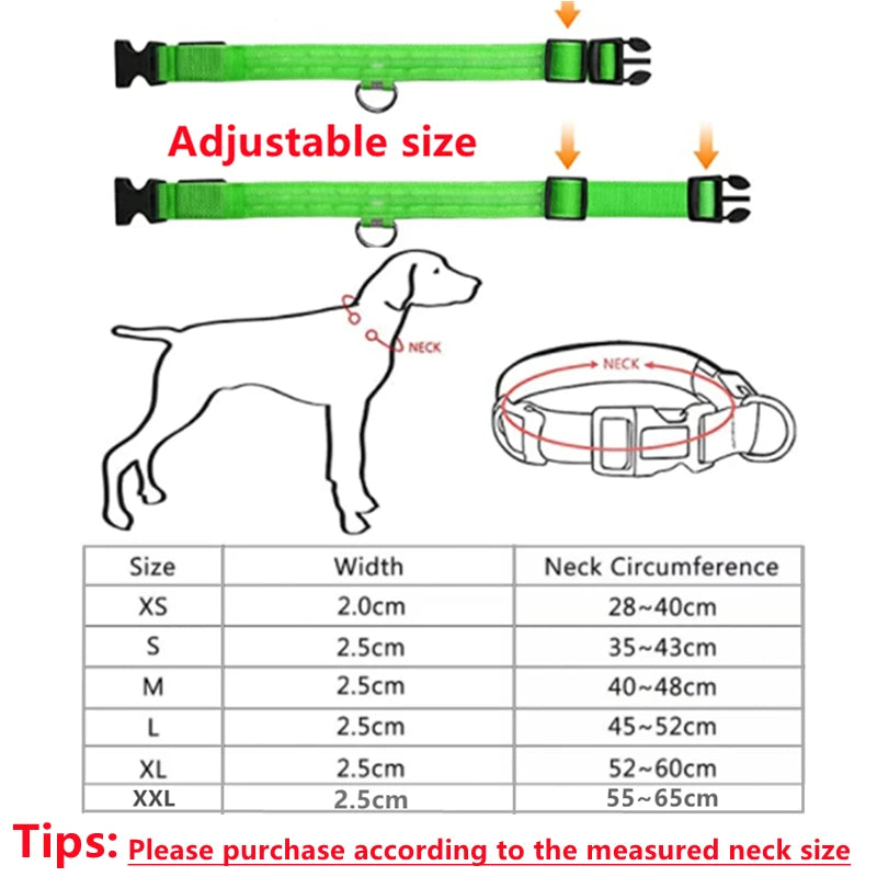 Collier pour animaux de compagnie rechargeable à LED