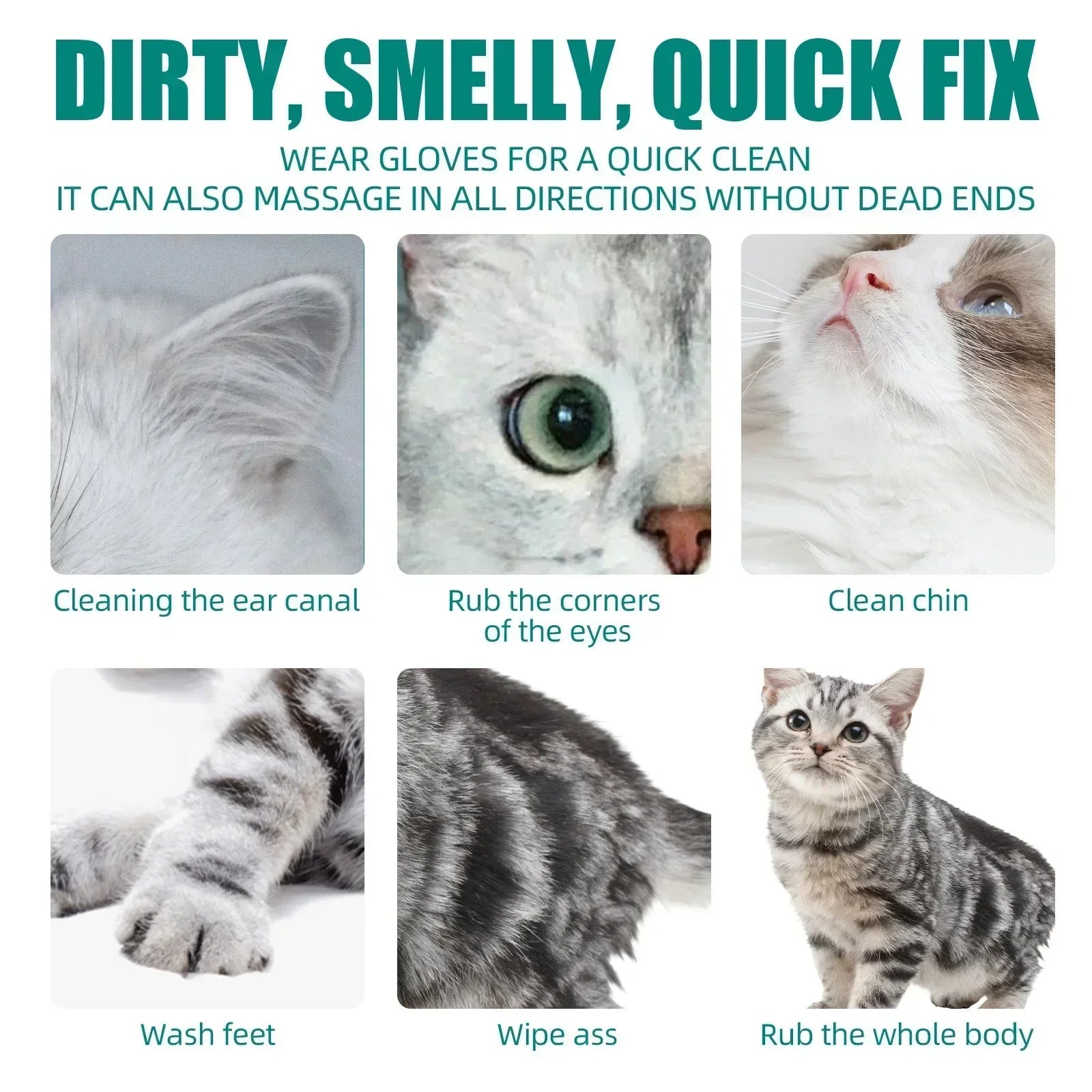 Kit de shampoing sans eau pour animaux de compagnie