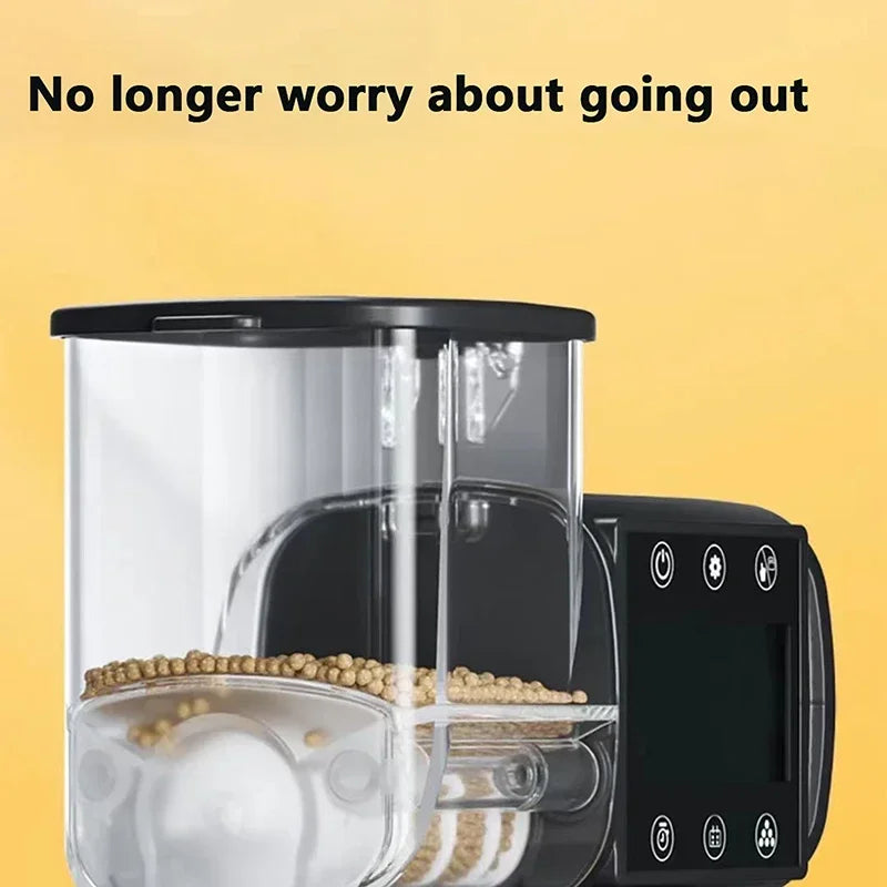 Nourrir les poissons d'aquarium