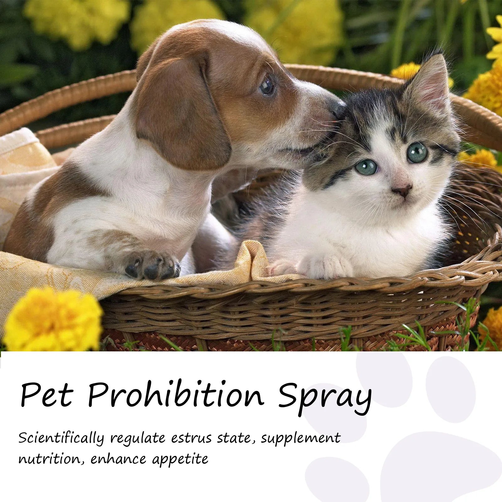 Spray apaisant pour animaux de compagnie