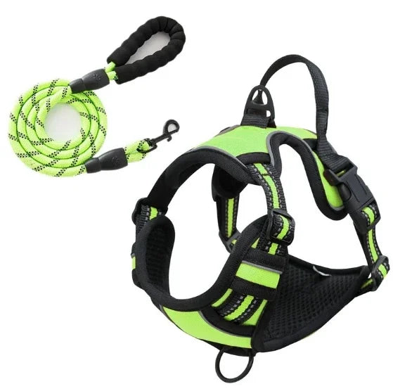 Harnais pour chien en nylon réglable