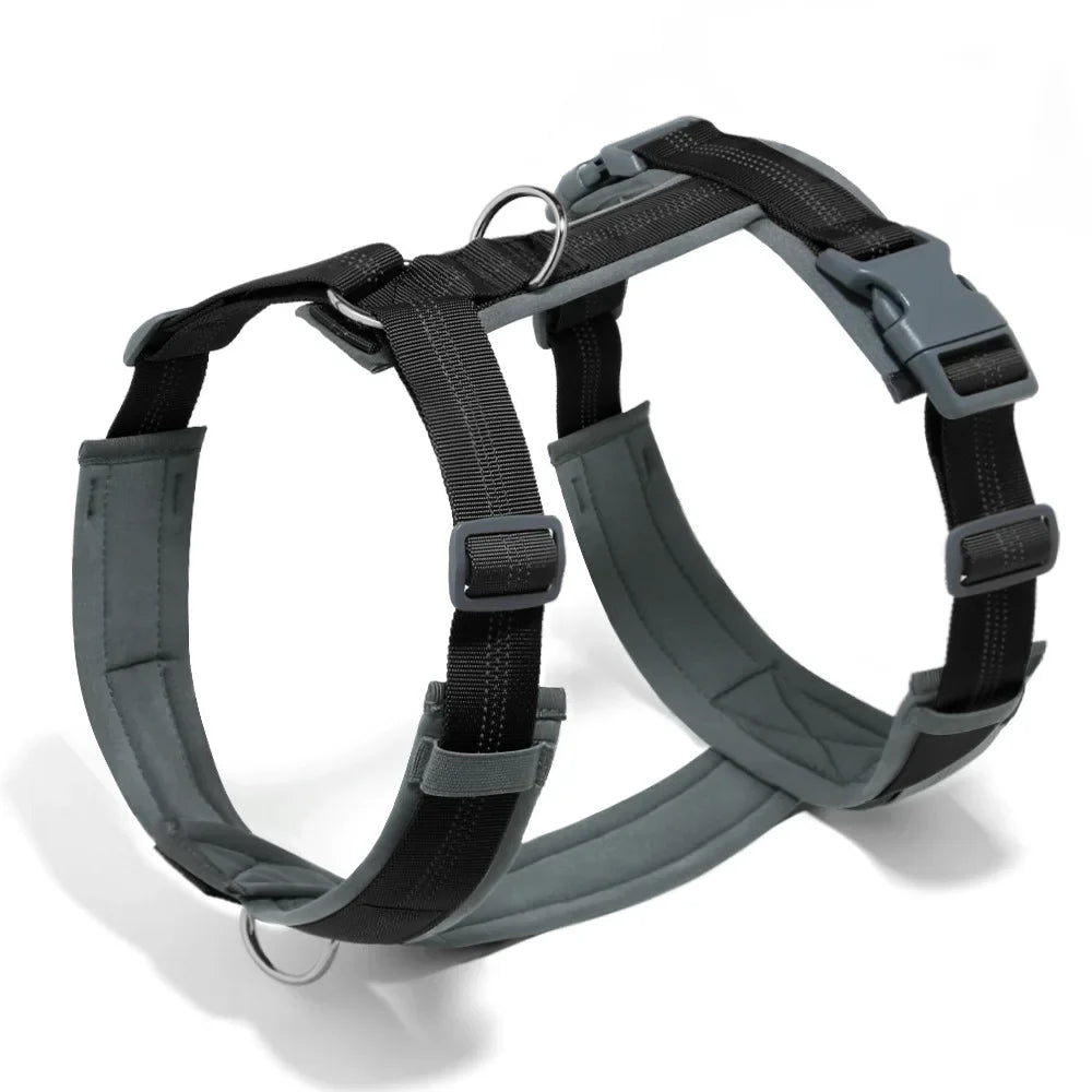 Harnais en forme de H pour chien