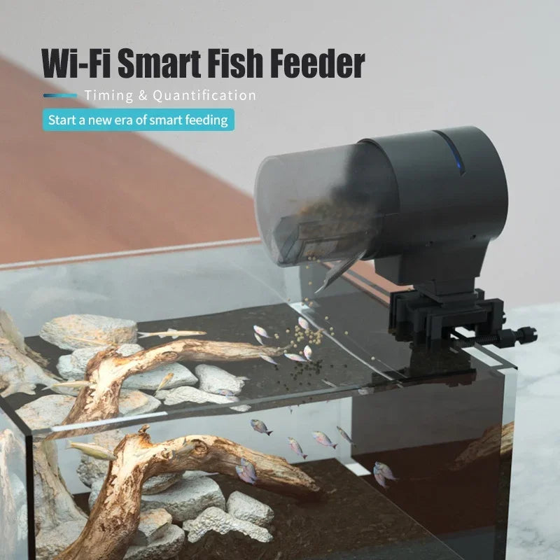 Distributeur Wi-Fi poissons automatique