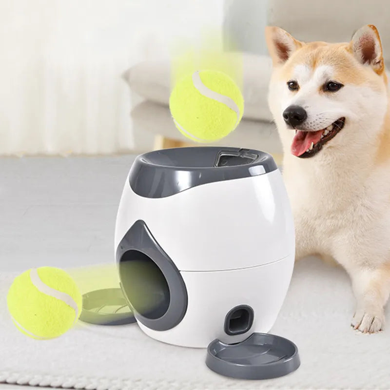 Jouet interactif 2 en 1 pour chien