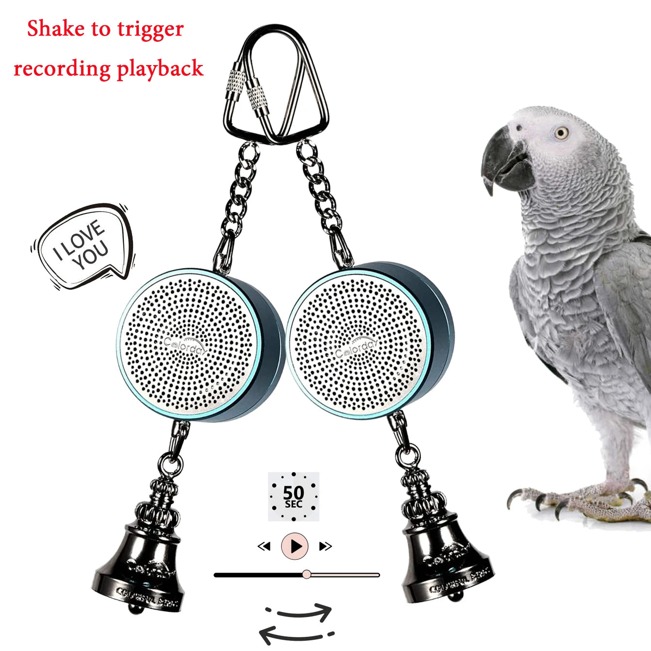 Parrot Toys to Teaching Training Bird