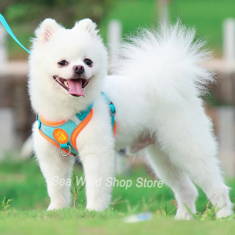 Sangle de poitrine pour chien