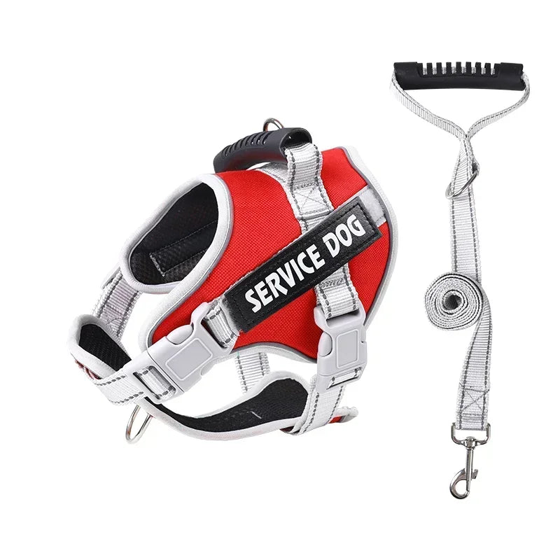 Harnais chien personnalisé