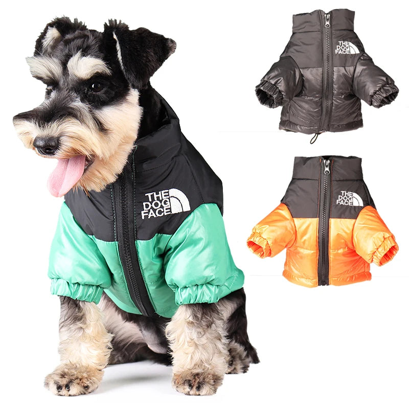 Veste réfléchissante d'hiver pour chien