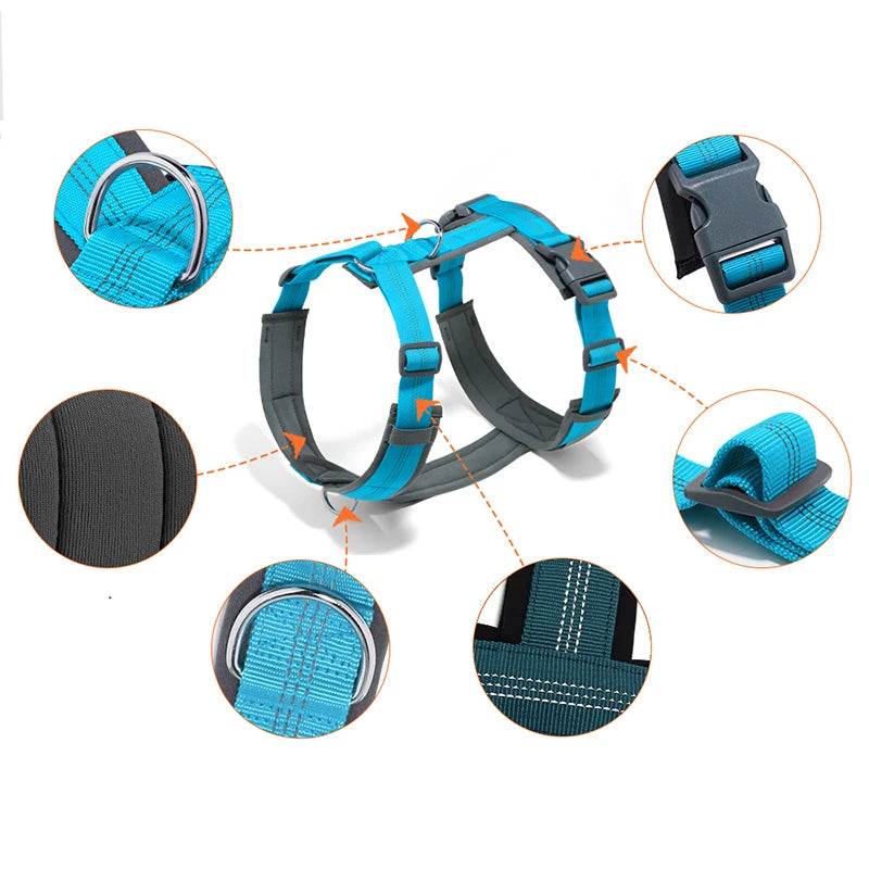 Harnais pour grand chien en forme de H