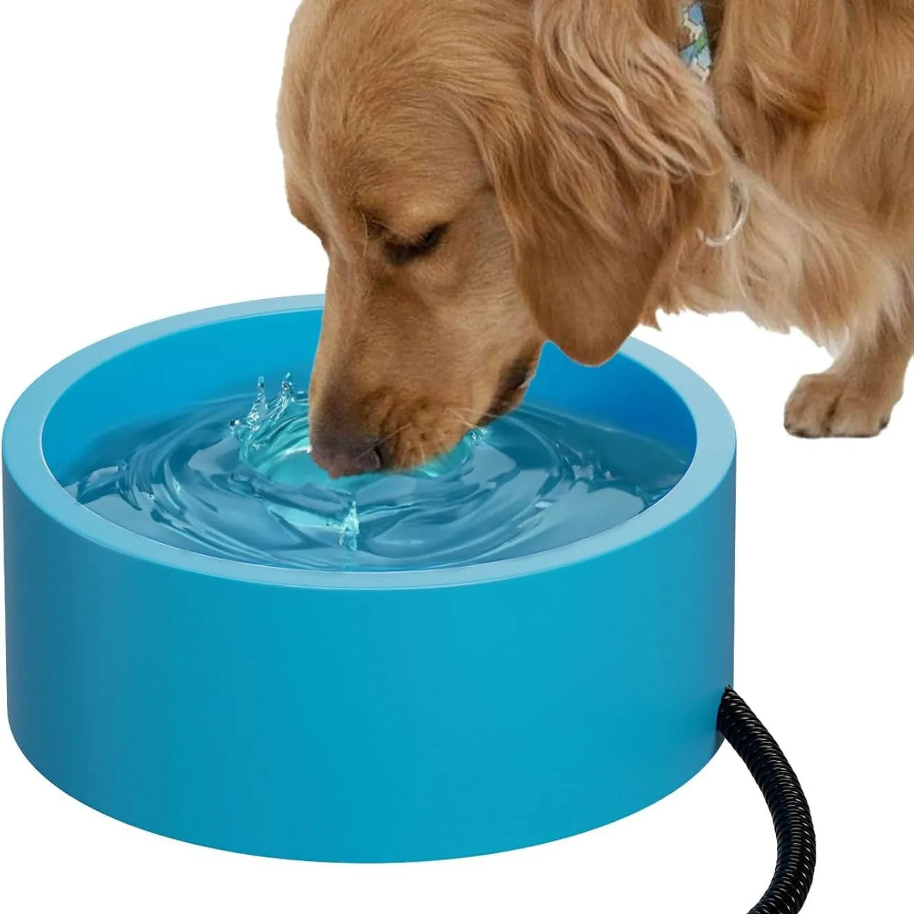 Gamelle isotherme pour animaux