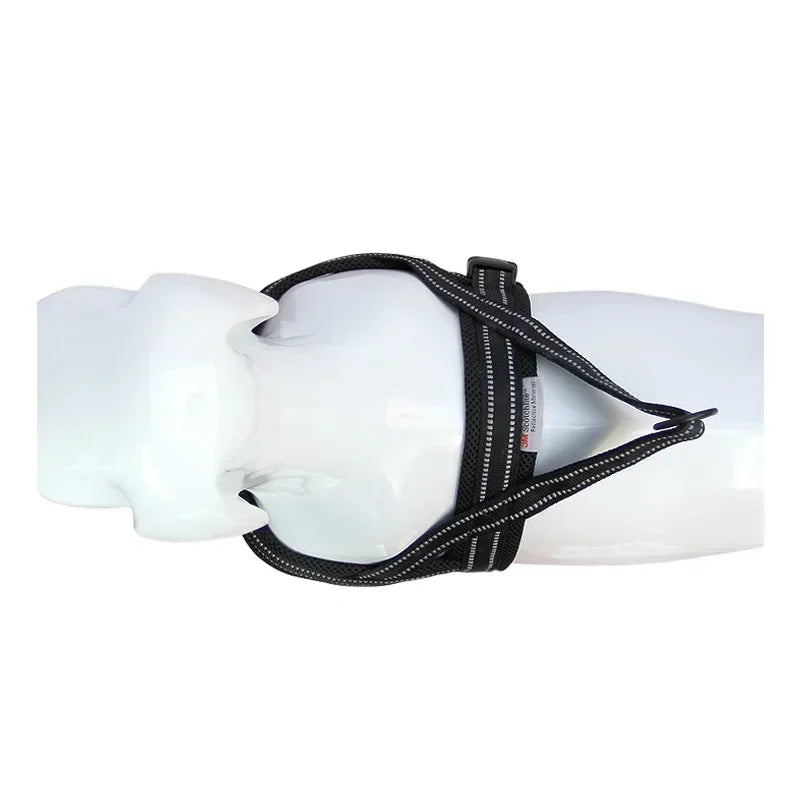 Harnais pour chien en nylon souple, avec support pour chien.