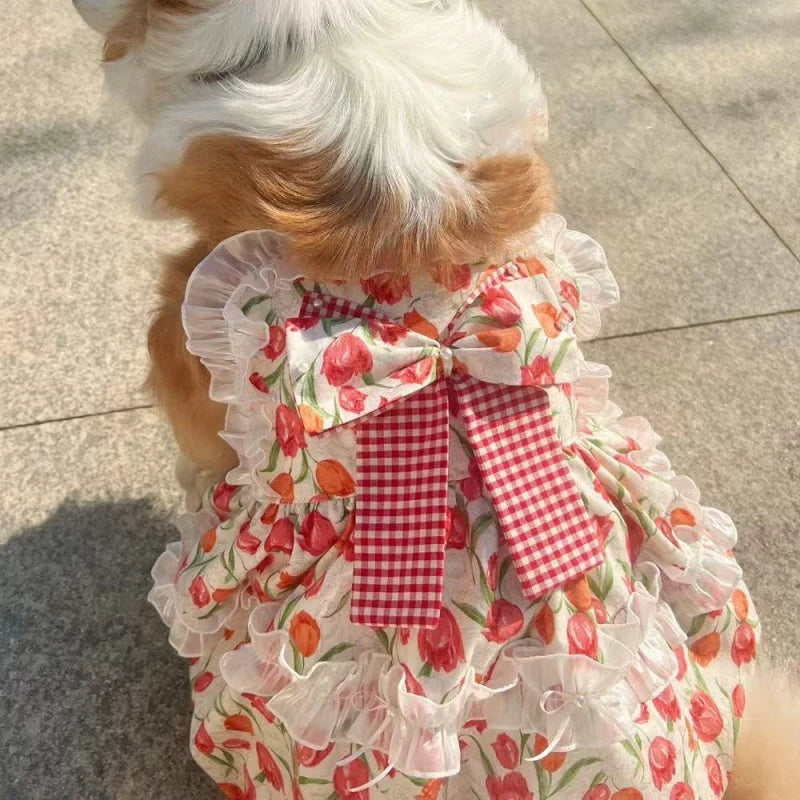 Robe d'été pour grand chien