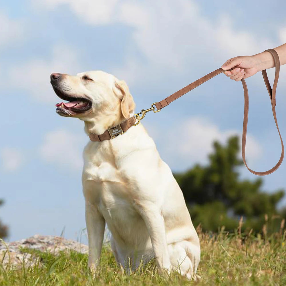 Personalized Dog Collar Leash Set