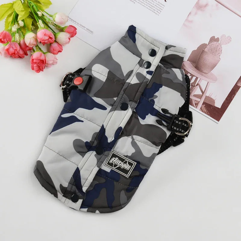 Veste coupe-vent pour chien