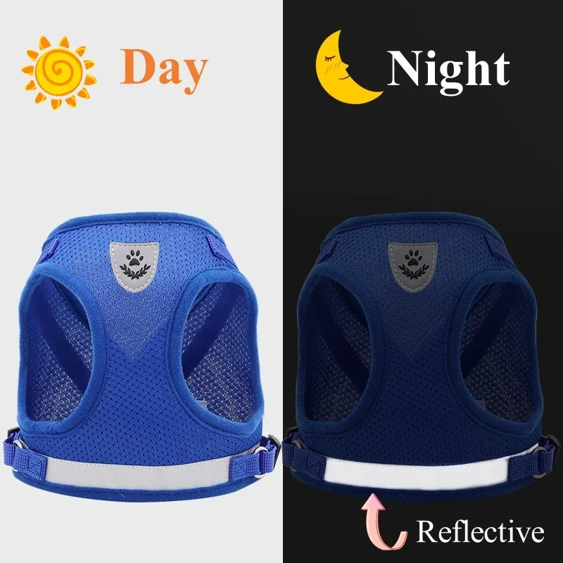 Harnais réglable pour chien et chat