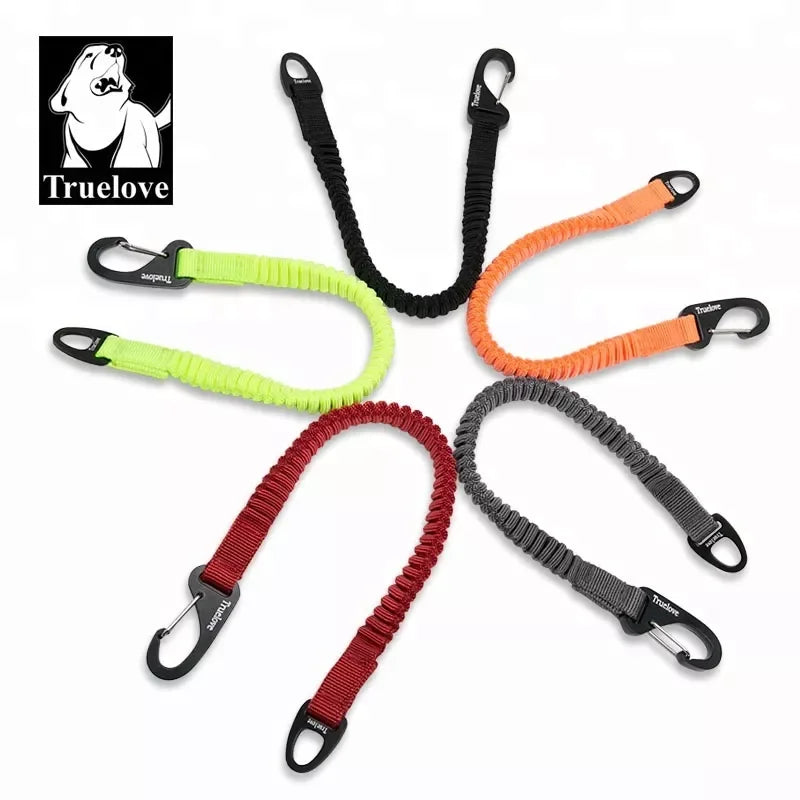 Short Bungee Leash