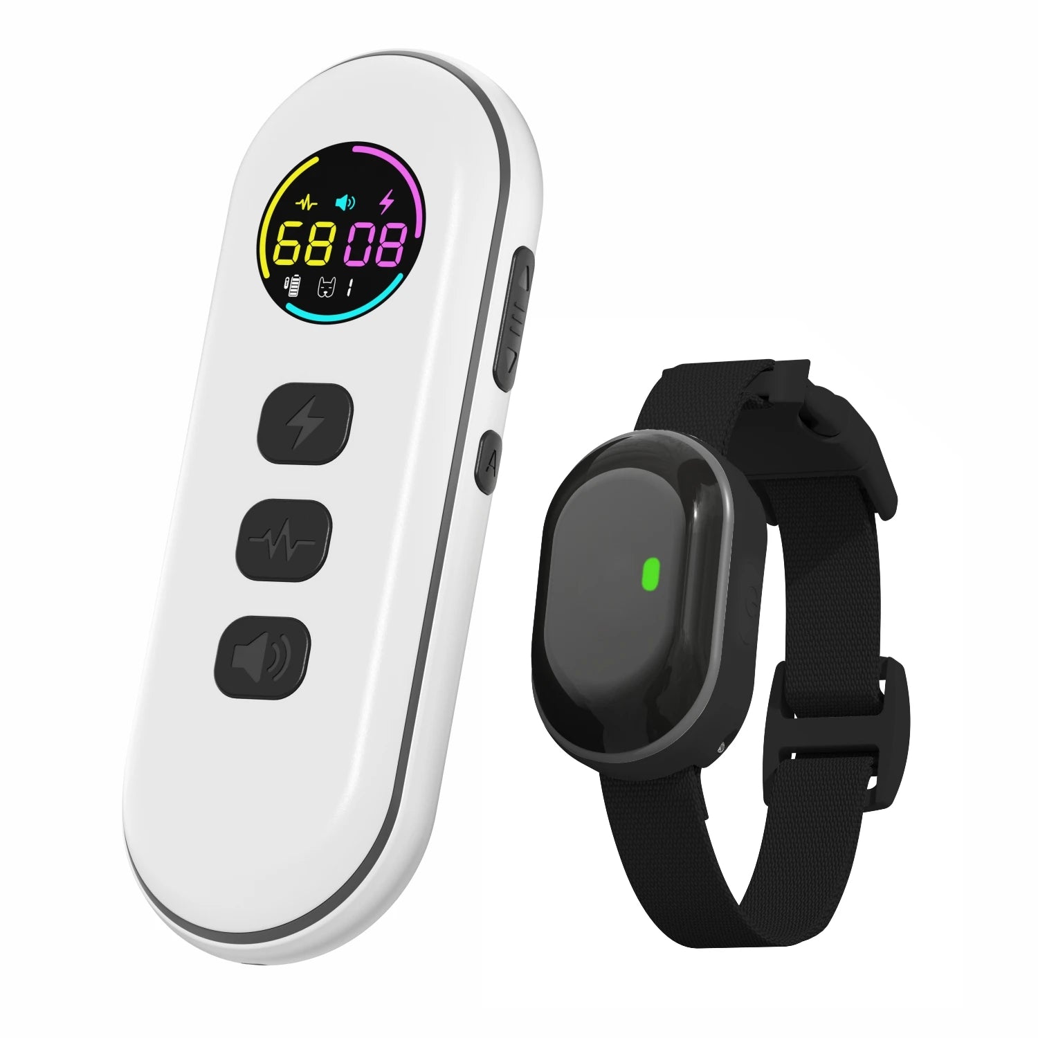 Collier de dressage pour petit chien