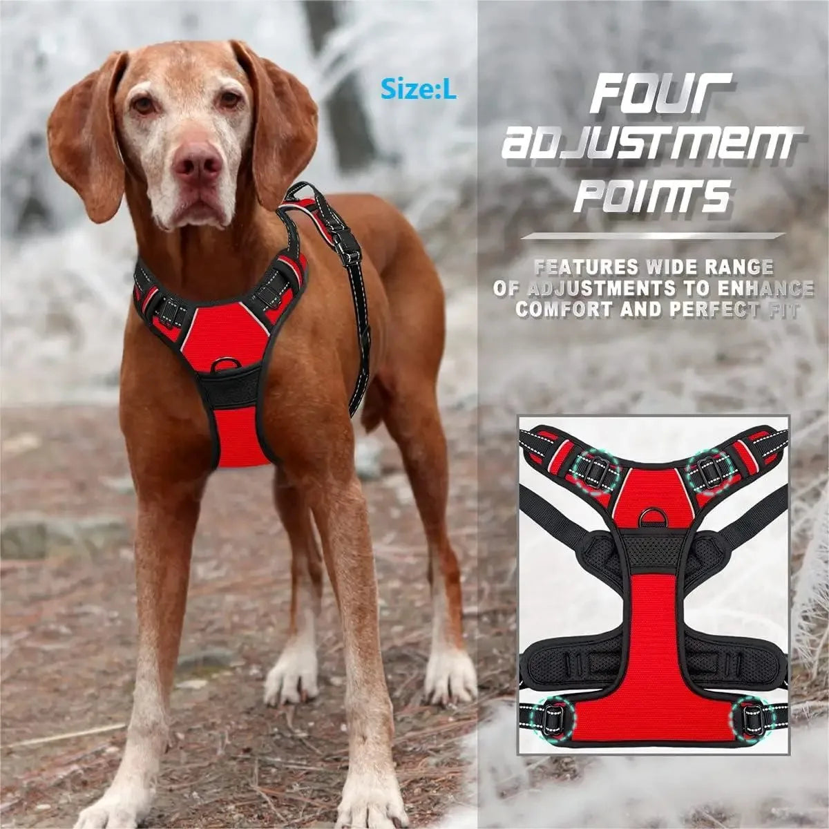 Ensemble collier, harnais et laisse en cuir pour chien