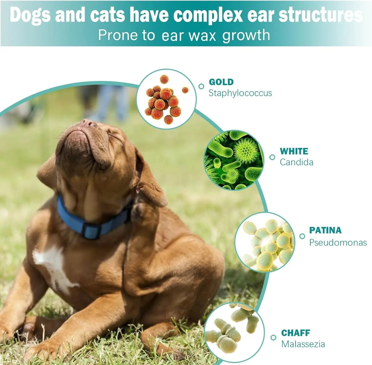 Lingettes douces pour les oreilles des animaux