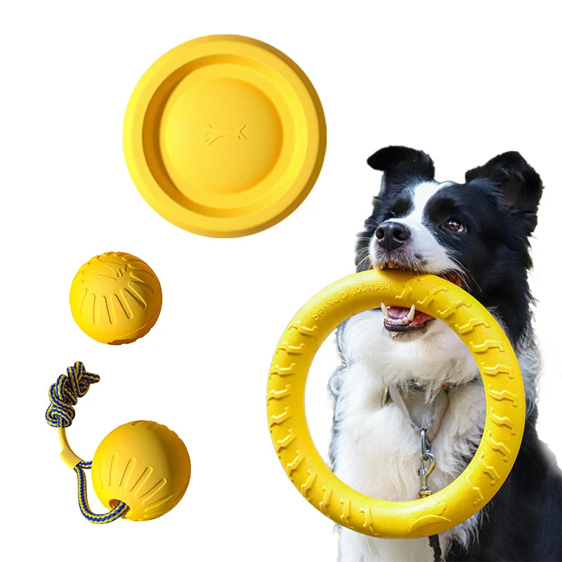 Jouets pour chiens durables en EVA