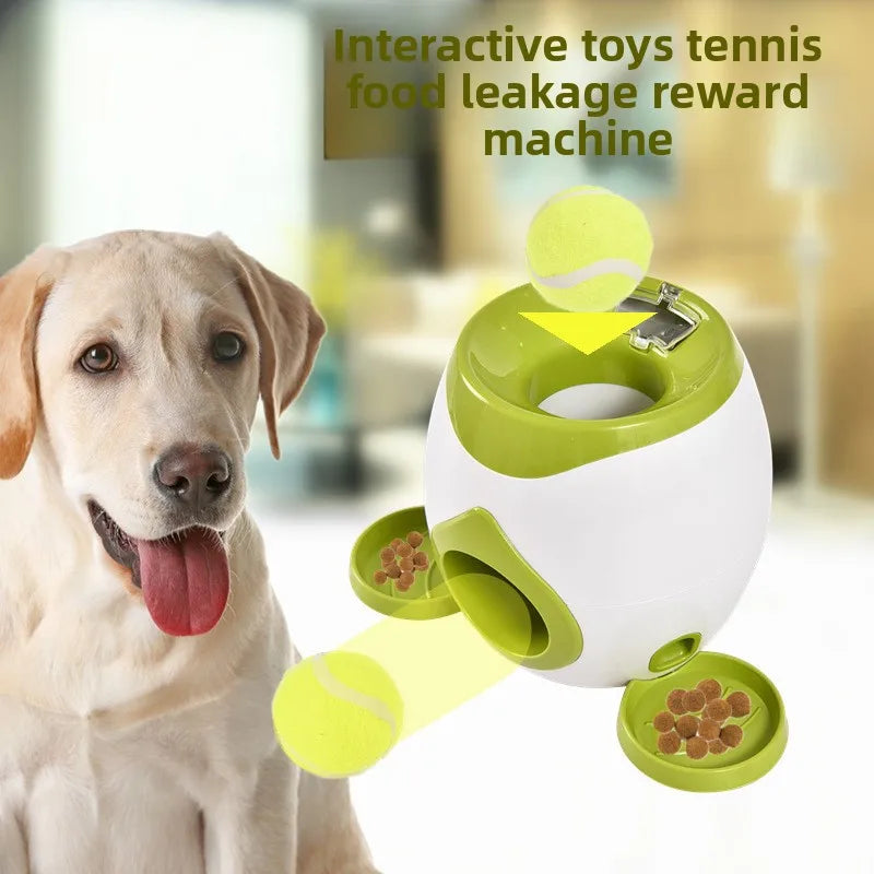Jouet interactif 2 en 1 pour chien