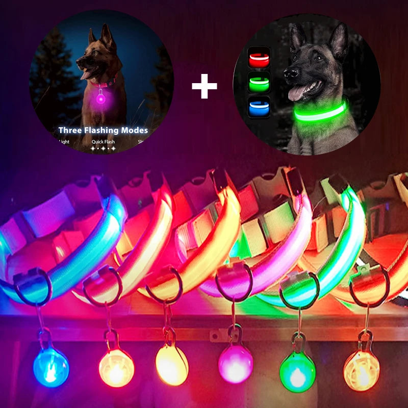 Collier lumineux LED pour animaux de compagnie