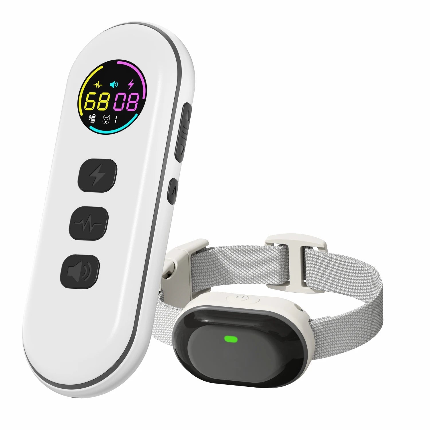 Collier de dressage pour petit chien