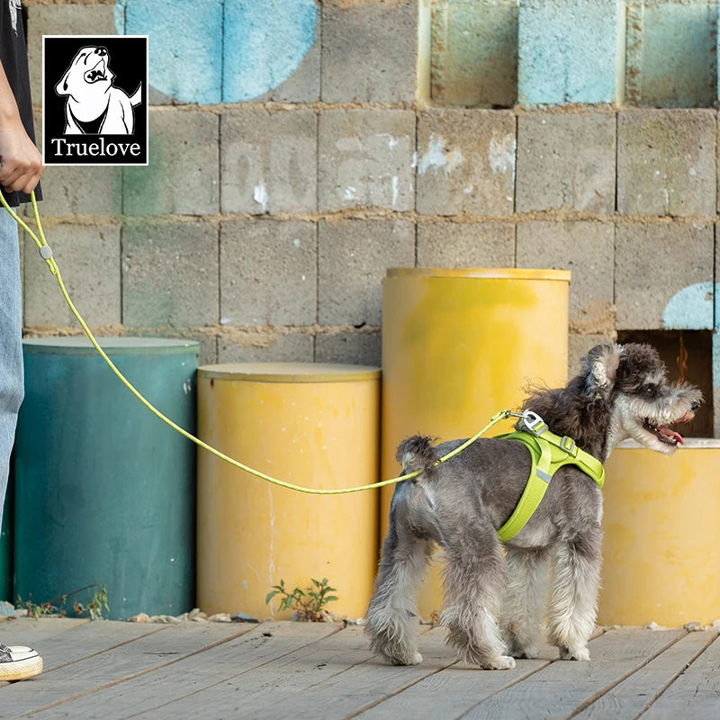 Laisse pour animaux Truelove