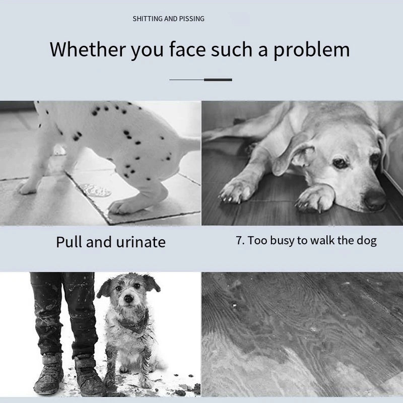 Plateau amovible pour propreté