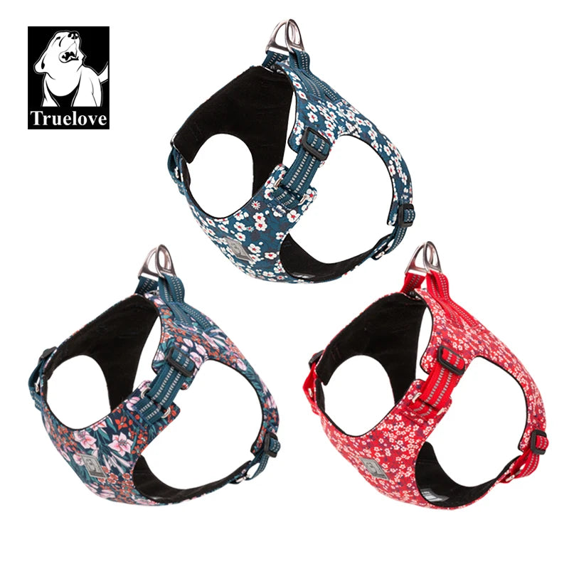 Harnais fleuri pour chien
