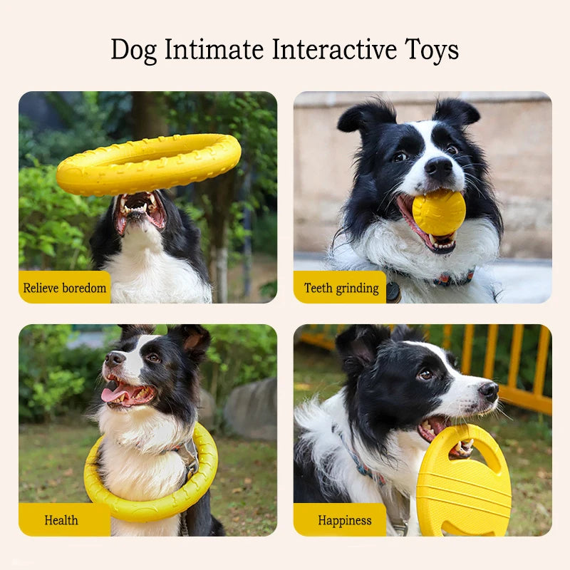 Jouets pour chiens durables en EVA