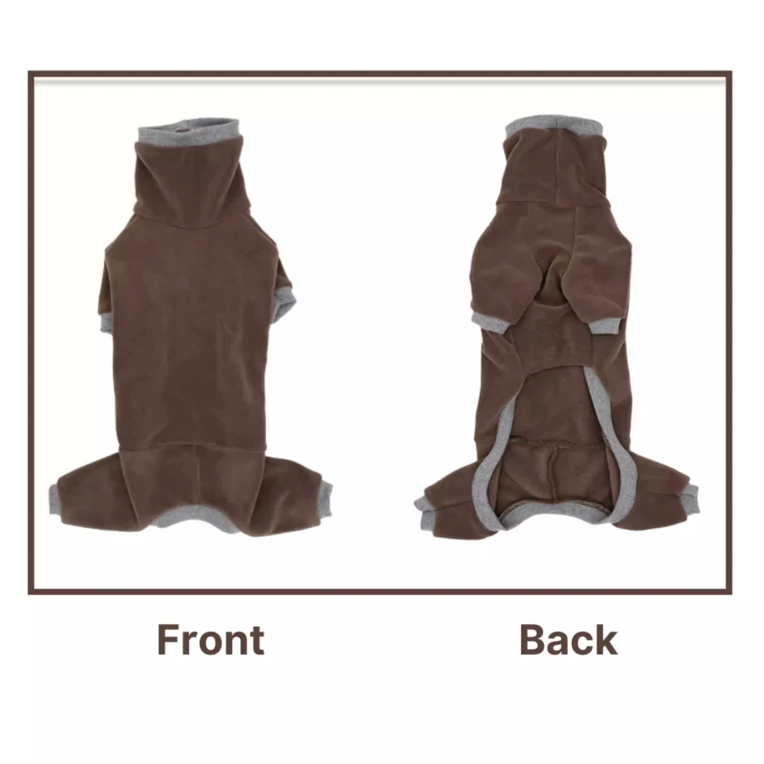 Vêtements chauds pour teckel