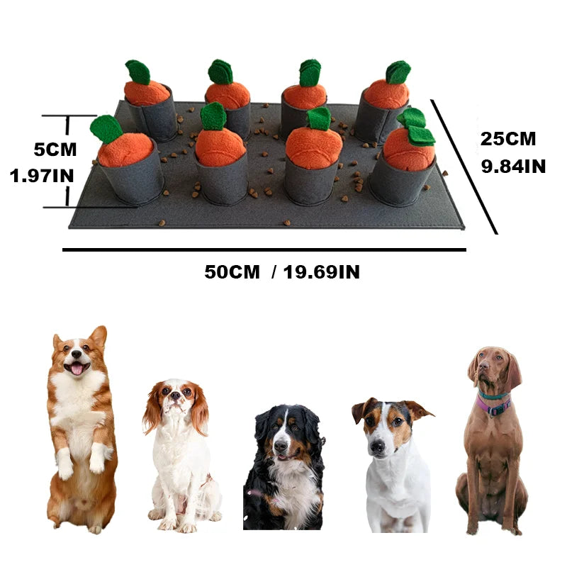 Tapis de fouille chien – Snuffle Feeding Mat PawFrance