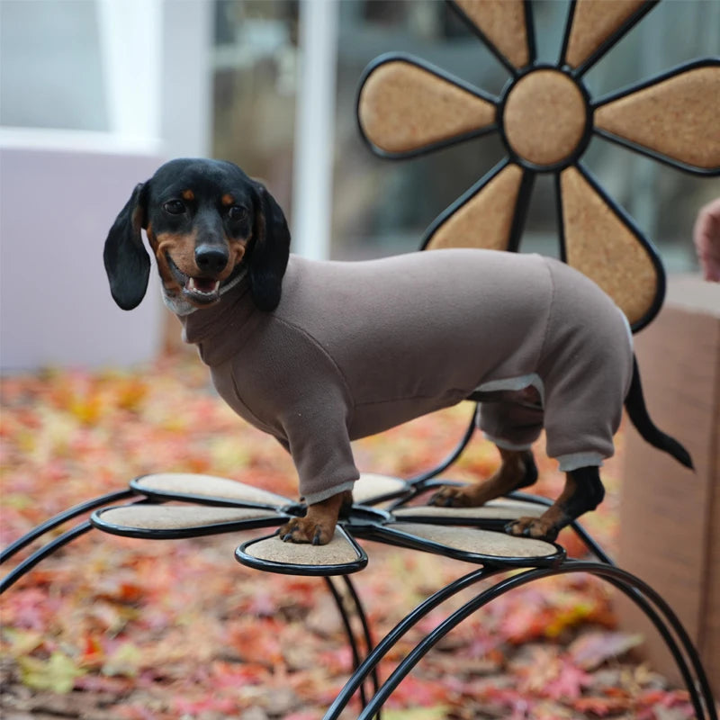 Vêtements chauds pour teckel