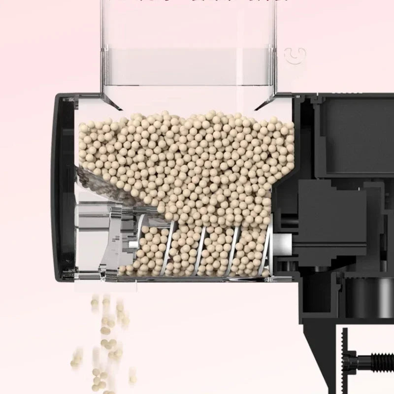 Nourrir les poissons d'aquarium