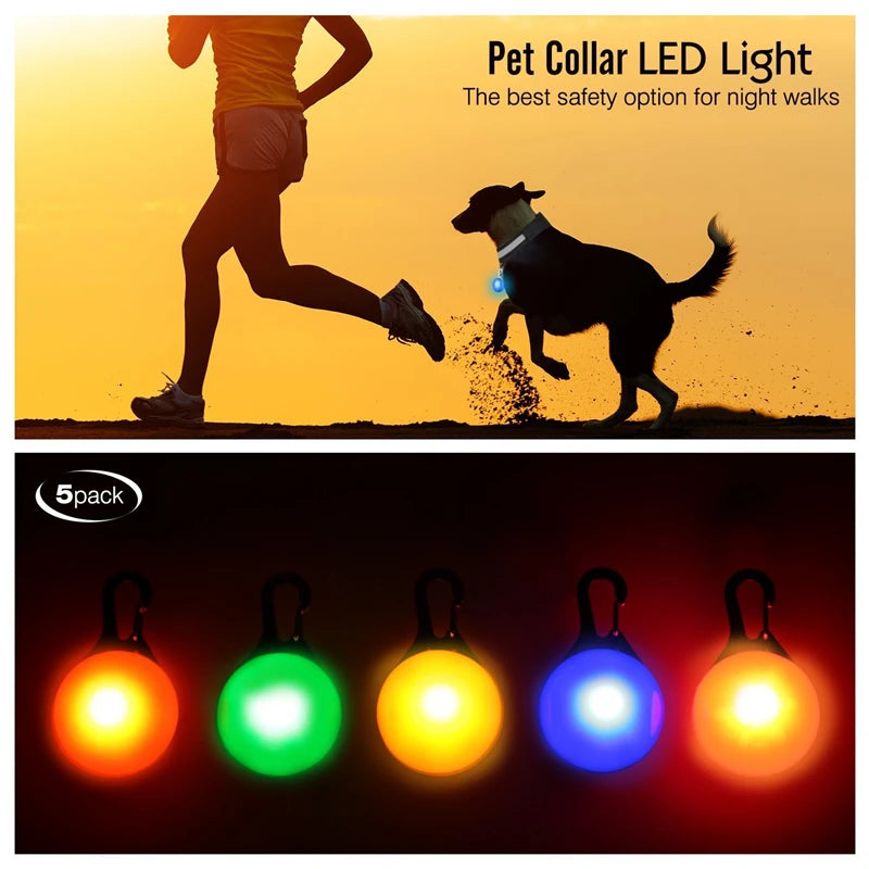 Collier lumineux LED pour animaux de compagnie
