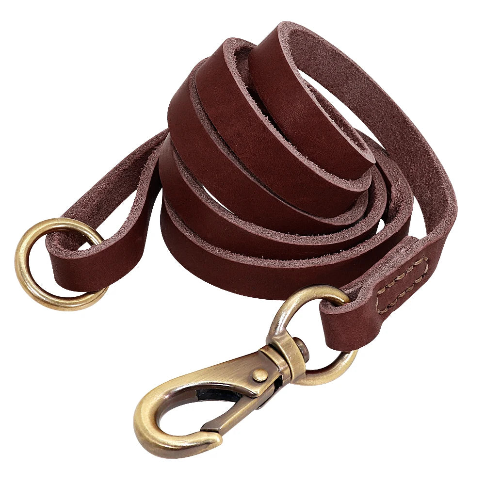 Custom Leather Dog Collar Leash