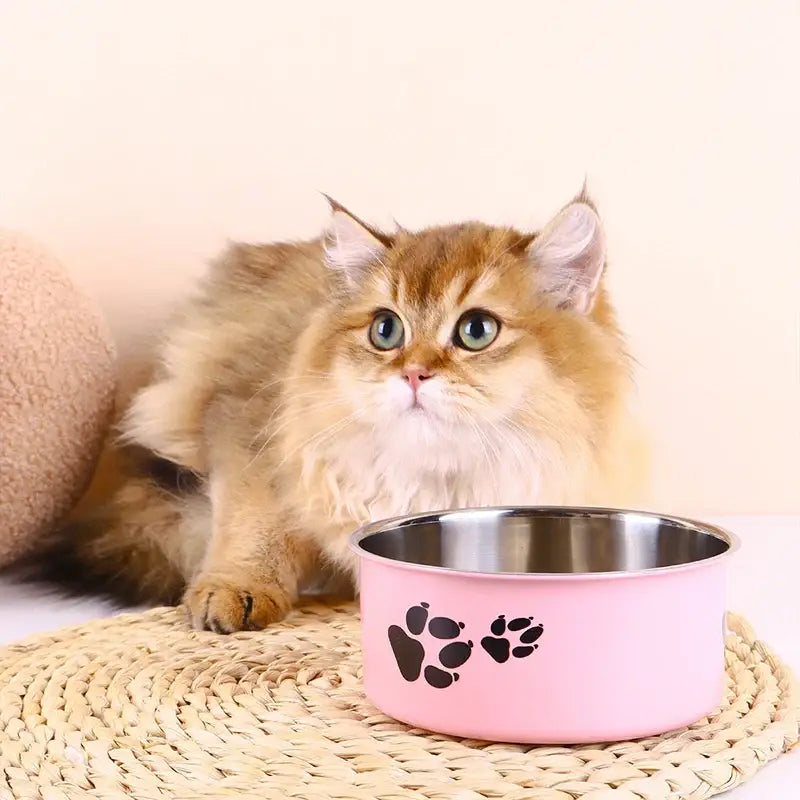 A cartoon-patterned pet bowl easy to clean made of stainless steel suitable for both outdoor and indoor pet owners.