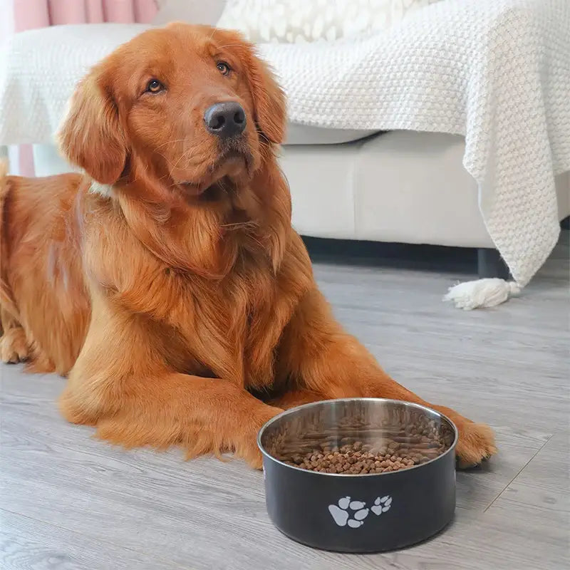 A cartoon-patterned pet bowl easy to clean made of stainless steel suitable for both outdoor and indoor pet owners.