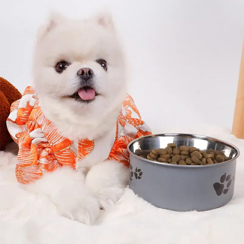 A cartoon-patterned pet bowl easy to clean made of stainless steel suitable for both outdoor and indoor pet owners.