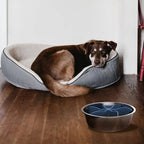 Adjustable Multi-Compartment Pet Food Puzzle Slow Feeder Bowl for Dogs - Durable Design Keeps Your Dog Engaged And
