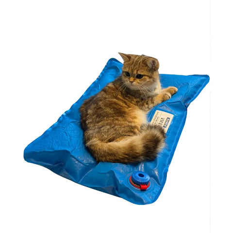 Animal Surgical Accessories Pet Vacuum Positioning Mat Care Room Small Veterinary Examination Pad 100x60cm 60x40cm