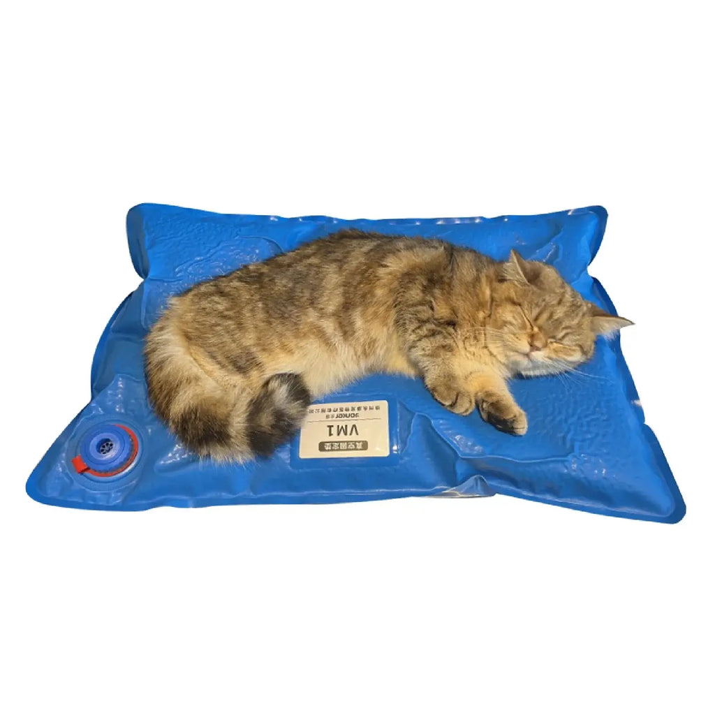 Animal Surgical Accessories Pet Vacuum Positioning Mat Care Room Small Veterinary Examination Pad 100x60cm 60x40cm