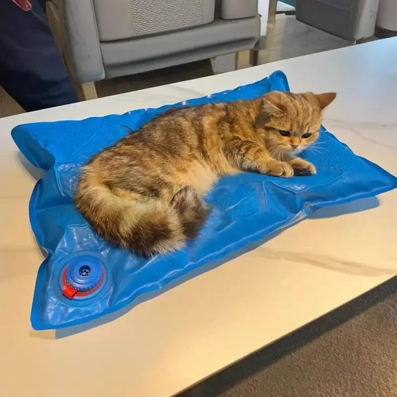 Animal Surgical Accessories Pet Vacuum Positioning Mat Small Veterinary Examination Pad,60-100cm pet clinic equipment