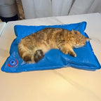 Animal Surgical Accessories Pet Vacuum Positioning Mat Small Veterinary Examination Pad,60-100cm pet clinic equipment
