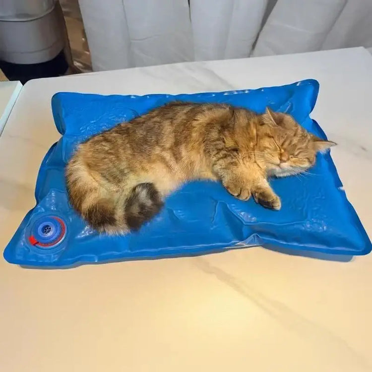 Animal Surgical Accessories Pet Vacuum Positioning Mat Small Veterinary Examination Pad,60-100cm pet clinic equipment