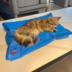 Animal Surgical Accessories Pet Vacuum Positioning Mat Small Veterinary Examination Pad,60-100cm pet clinic equipment